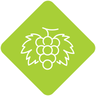 icones-jardin botanique-vin